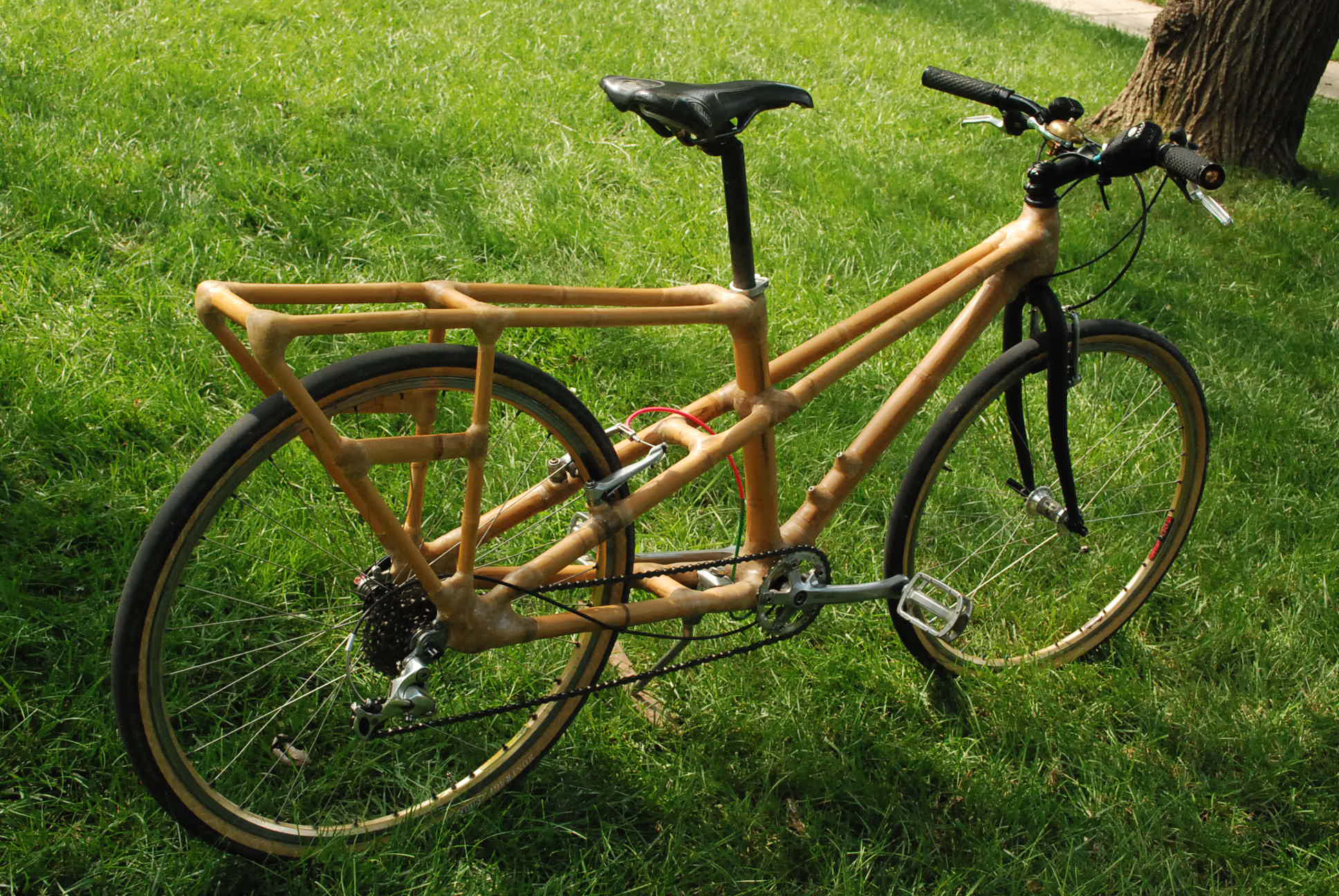 bamboo bike rear view photo
